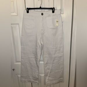 NWT Pilcro pant from Anthropologie